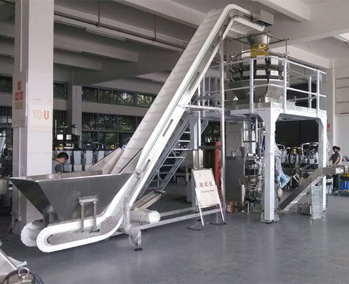 安徽天之業(yè) 以智能包裝機(jī)械賦能速凍產(chǎn)業(yè)，助力青島企業(yè)高效節(jié)省人力